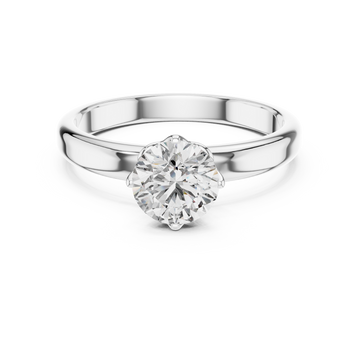 The Divine Light Ring