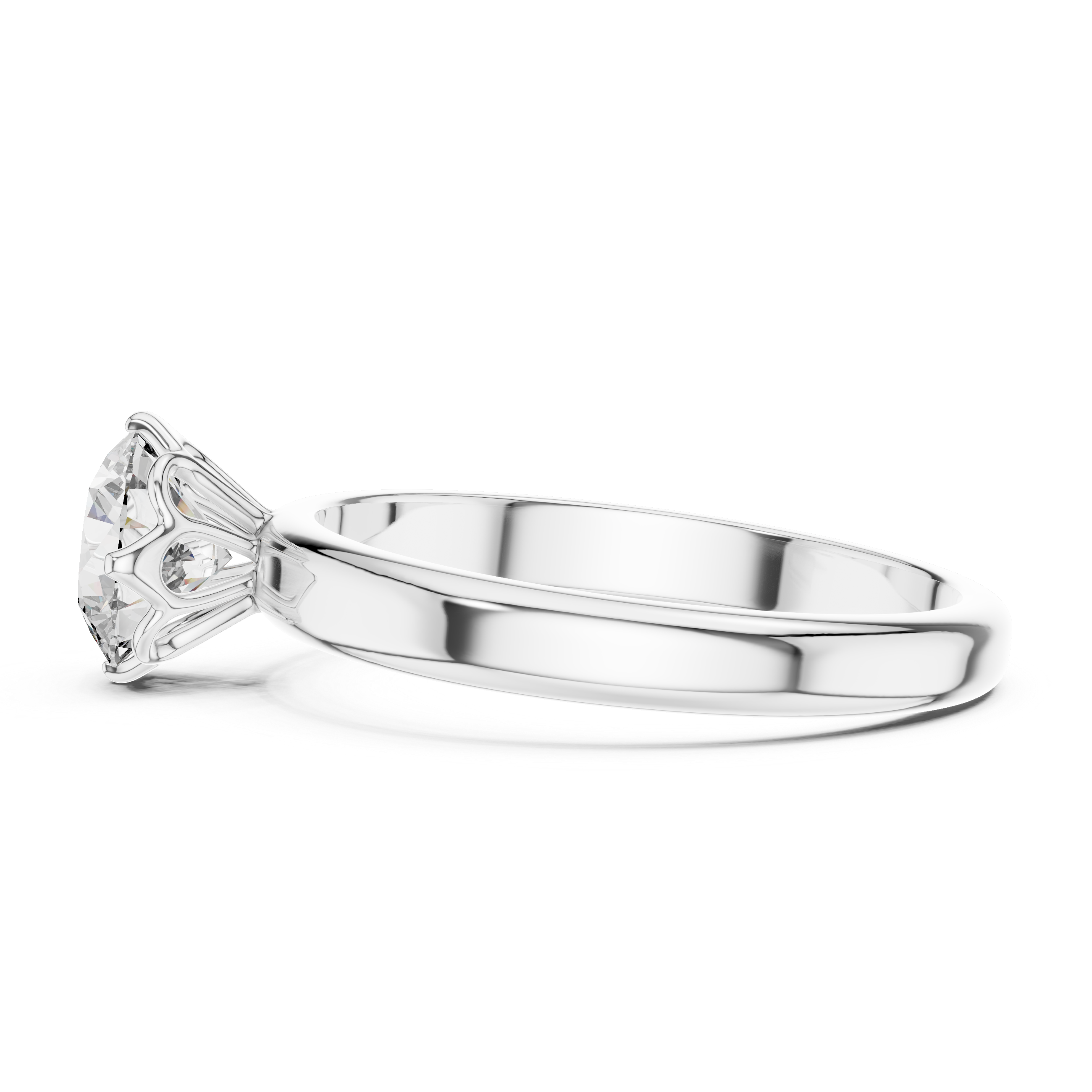 The Divine Light Ring